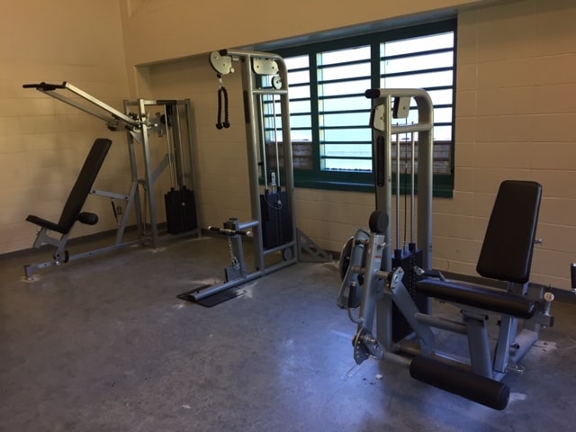 Cybex pg 400 2025