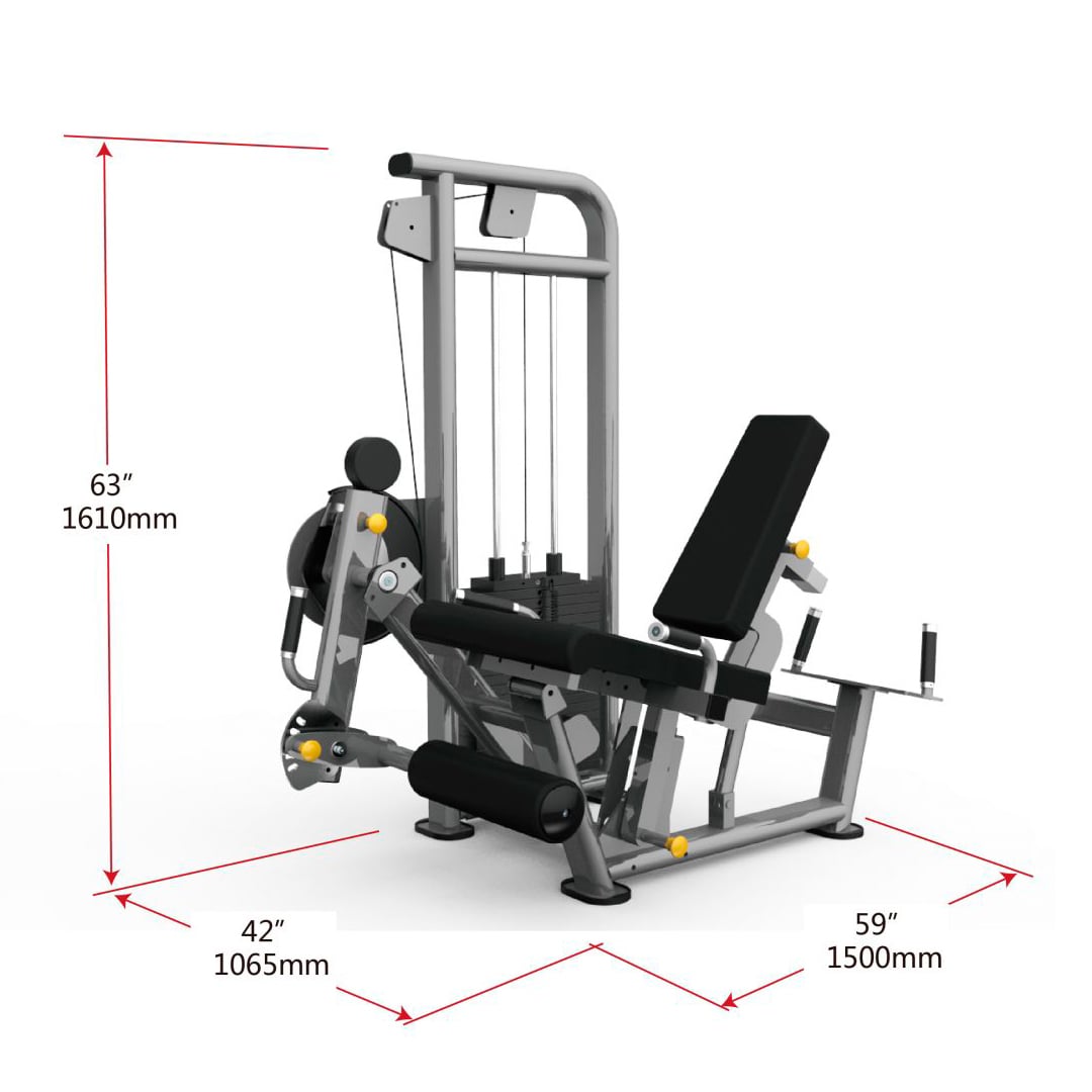 Lying leg extension best sale