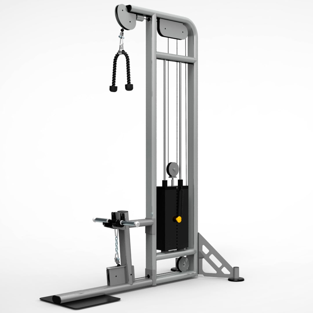 Biceps triceps dual fitness machine for jail gyms